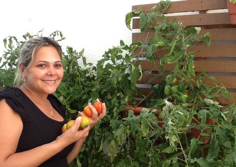 Mirtes planta tomate e em tom de brincadeira diz que está  ganhando uns trocados